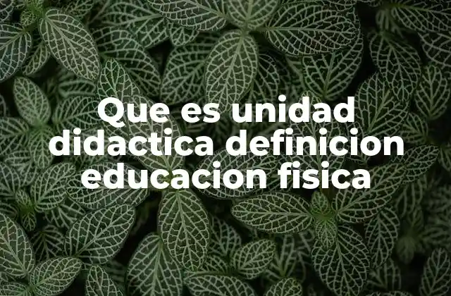 Que es Unidad Didactica Definicion Educacion Fisica