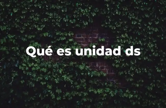 Qué es Unidad Ds