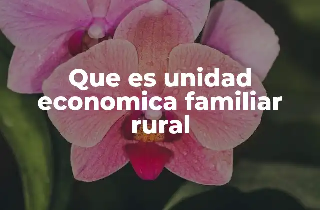 Que es Unidad Economica Familiar Rural