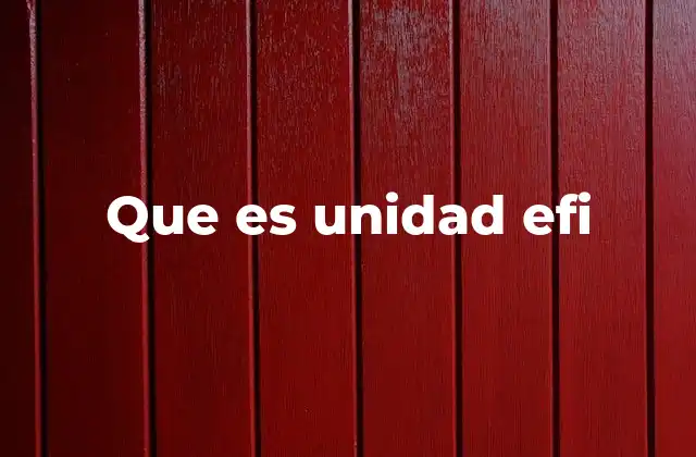 Que es Unidad Efi