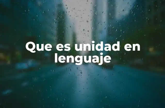 Que es Unidad en Lenguaje