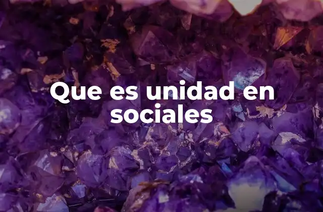 Que es Unidad en Sociales