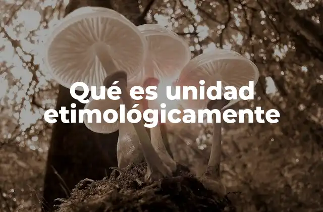 Qué es Unidad Etimológicamente