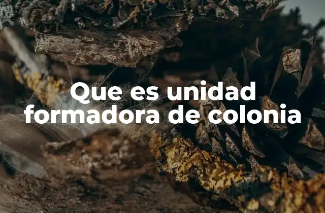 Que es Unidad Formadora de Colonia