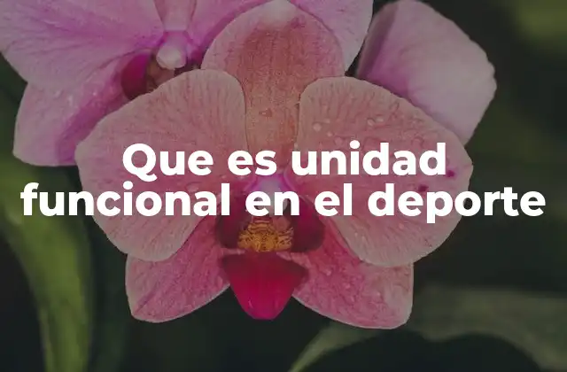 Que es Unidad Funcional en el Deporte