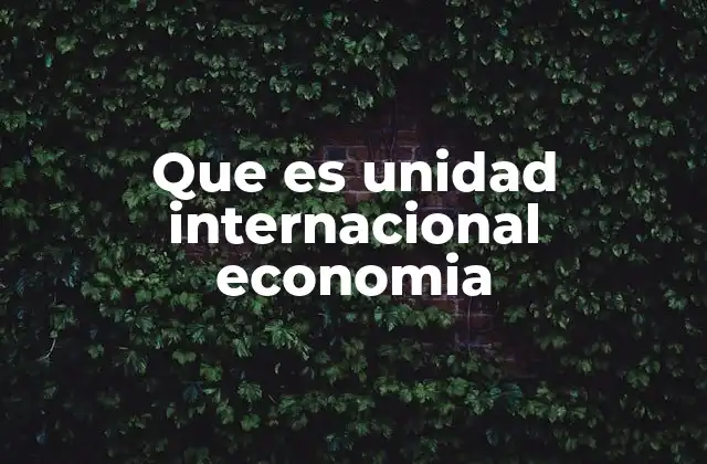 Que es Unidad Internacional Economia