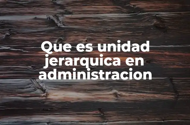 Que es Unidad Jerarquica en Administracion