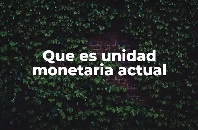Que es Unidad Monetaria Actual