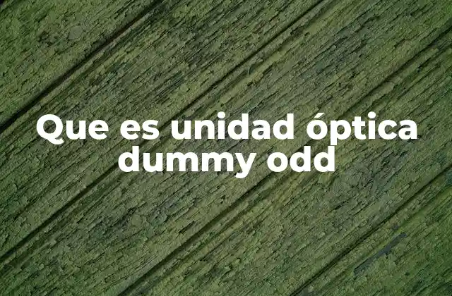 Que es Unidad Óptica Dummy Odd 2 La importancia de las unidades ópticas dummy en la emulación