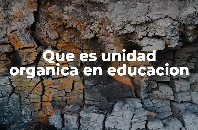 Que es Unidad Organica en Educacion