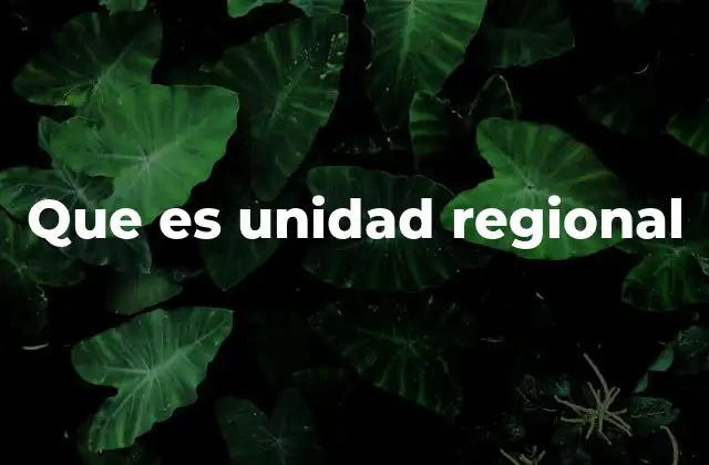 Cómo se define una unidad regional