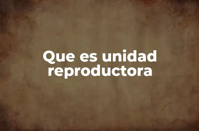 Estructura y funcionamiento del sistema reproductor