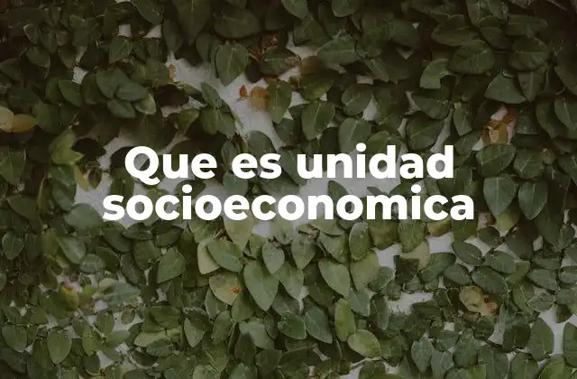 La importancia de comprender las estructuras socioeconómicas