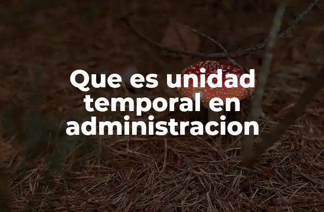 Que es Unidad Temporal en Administracion