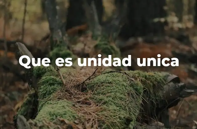 Que es Unidad Unica