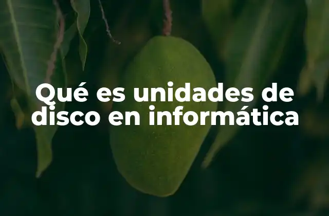 Qué es Unidades de Disco en Informática 2 La importancia de las unidades de disco en la informática moderna