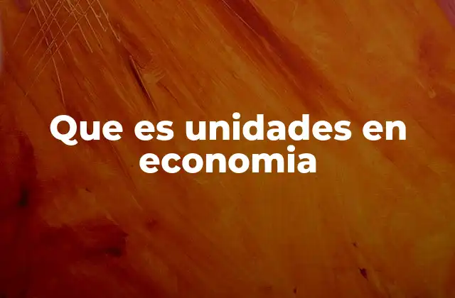 Que es Unidades en Economia