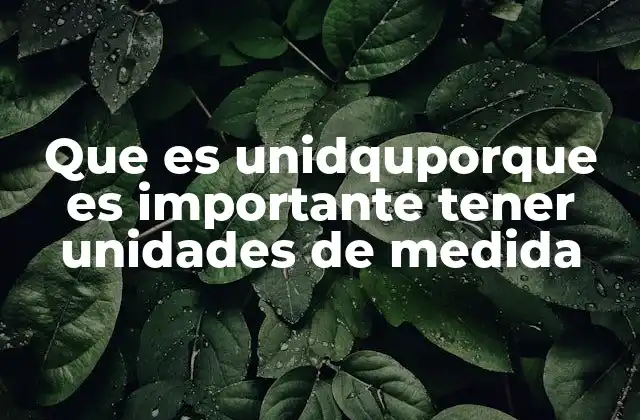 Que es Unidquporque es Importante Tener Unidades de Medida