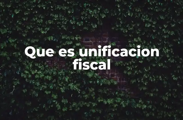Que es Unificacion Fiscal