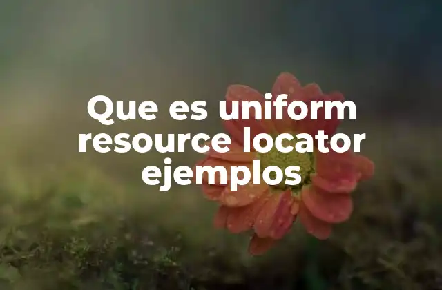 Que es Uniform Resource Locator Ejemplos