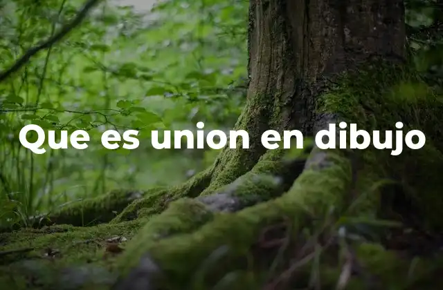 Que es Union en Dibujo