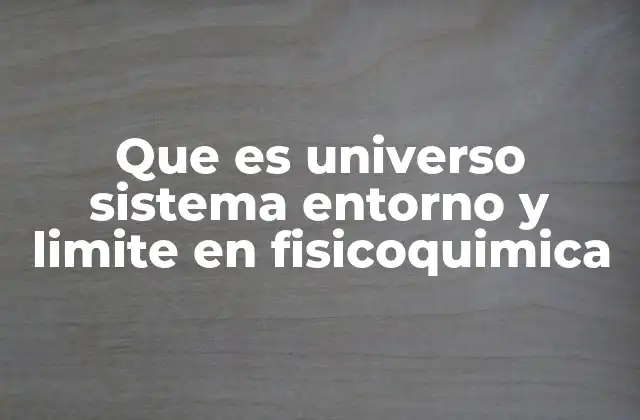Que es Universo Sistema Entorno y Limite en Fisicoquimica