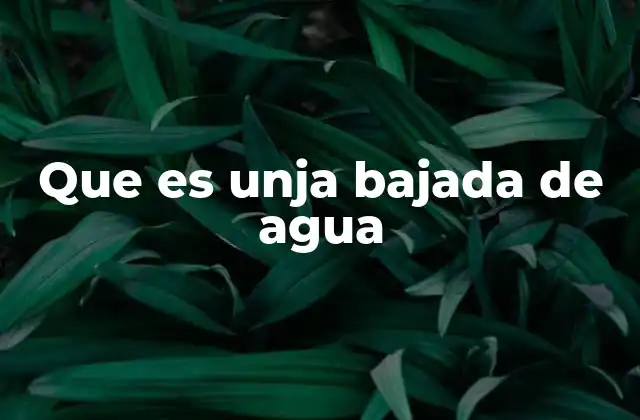 Que es Unja Bajada de Agua