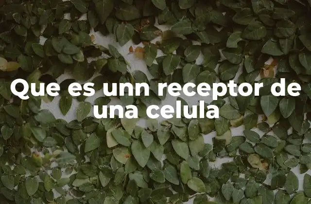 Que es Unn Receptor de una Celula