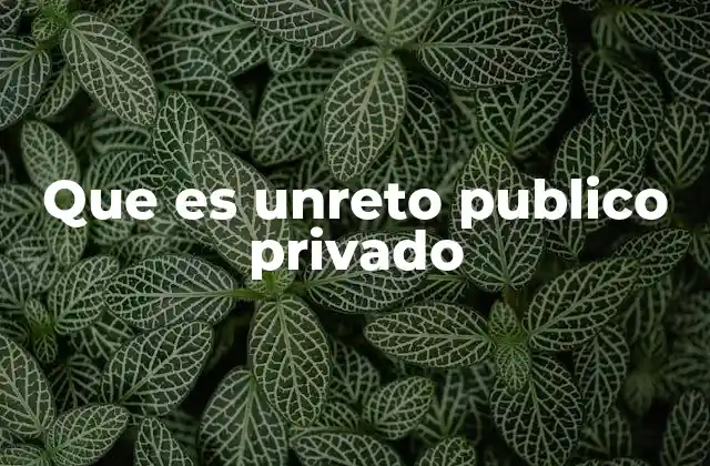 Que es Unreto Publico Privado