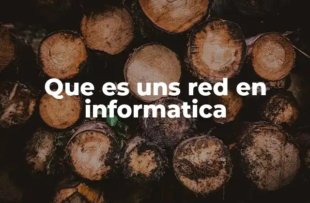 Que es Uns Red en Informatica