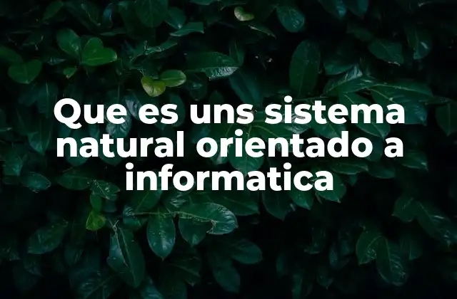 Que es Uns Sistema Natural Orientado a Informatica