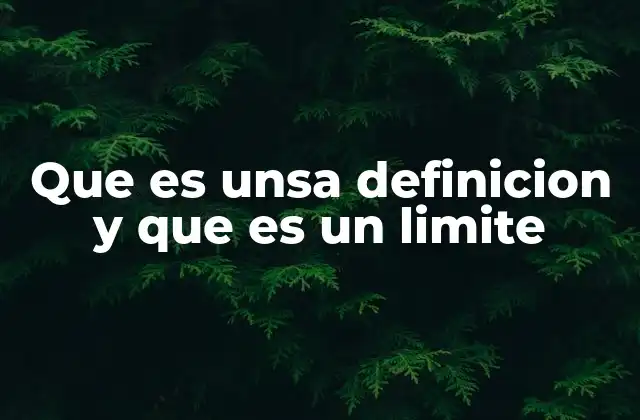 Que es Unsa Definicion y que es un Limite