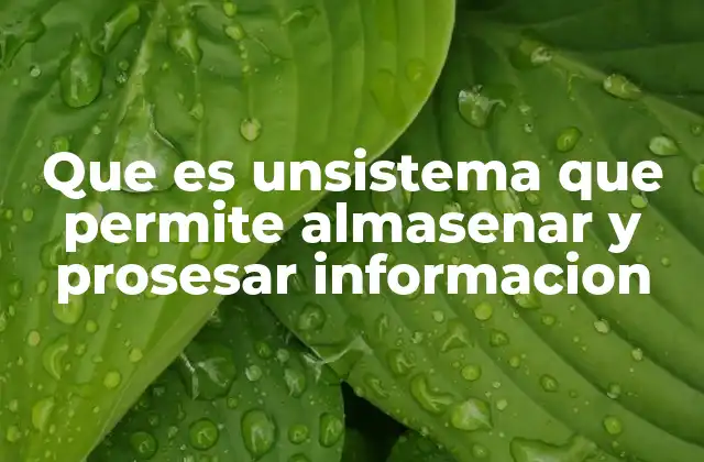 Que es Unsistema que Permite Almasenar y Prosesar Informacion