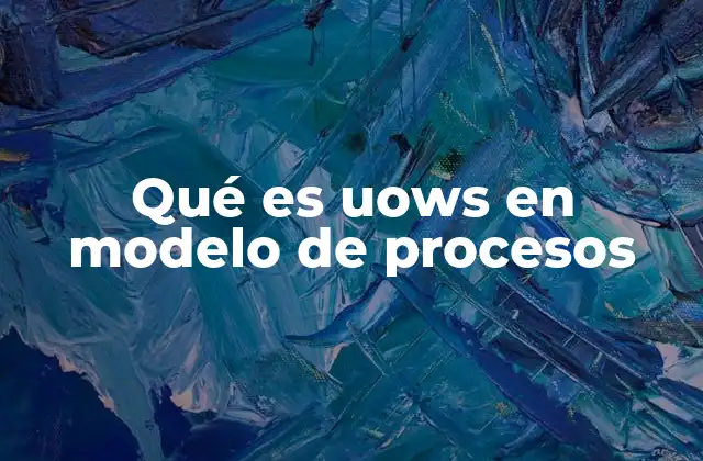 Qué es Uows en Modelo de Procesos