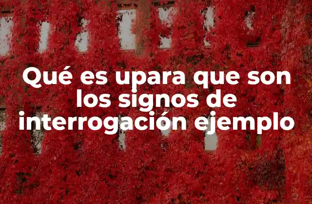 Qué es Upara que Son los Signos de Interrogación Ejemplo