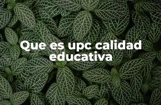 Que es Upc Calidad Educativa 2 La visión de una educación superior de excelencia