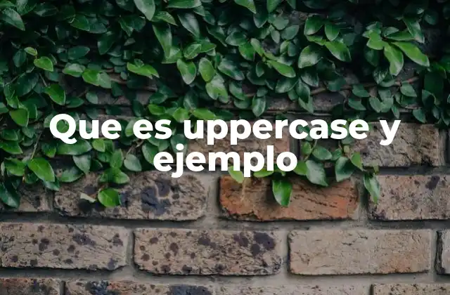 Que es Uppercase y Ejemplo
