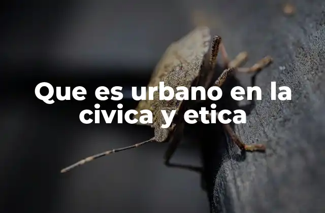 Que es Urbano en la Civica y Etica