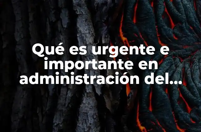 Qué es Urgente e Importante en Administración Del Tiempo