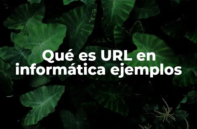 Qué es Url en Informática Ejemplos