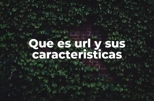 Que es Url y Sus Caracteristicas