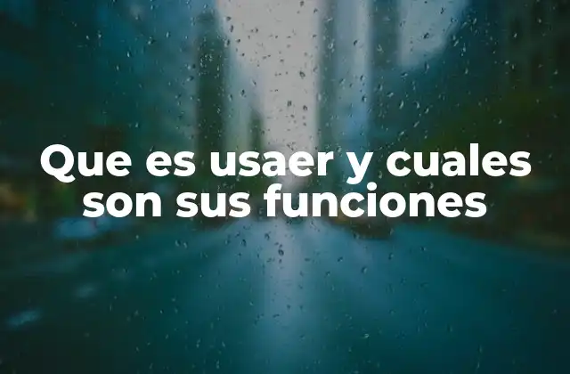 Que es Usaer y Cuales Son Sus Funciones 2 La importancia de los sistemas de control de acceso en la gestión de usuarios