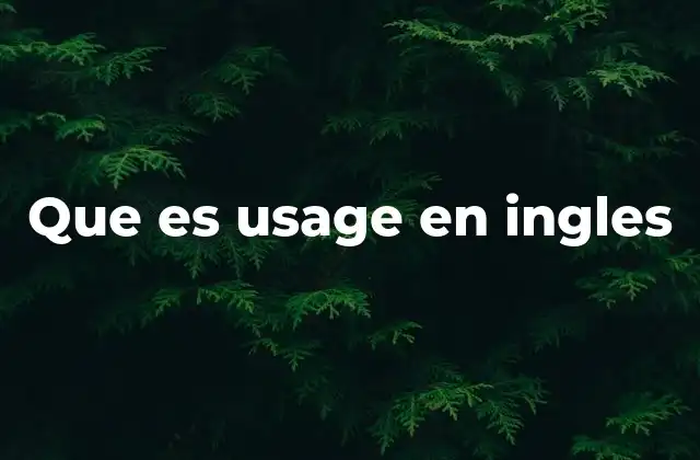 Que es Usage en Ingles