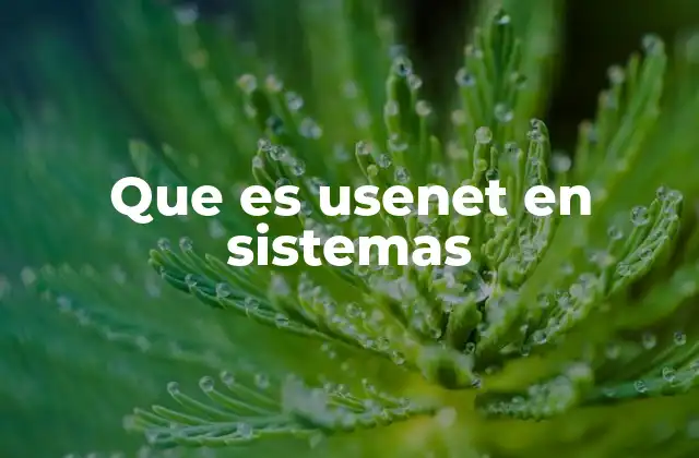 Que es Usenet en Sistemas