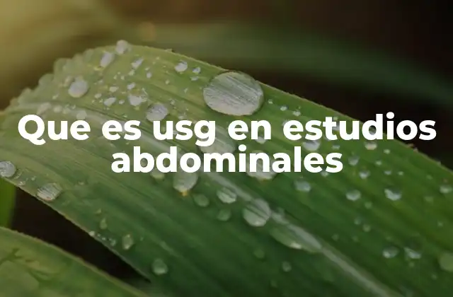 Que es Usg en Estudios Abdominales