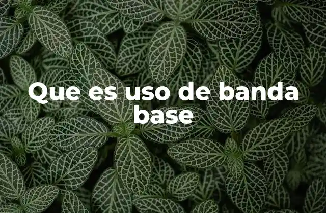 Que es Uso de Banda Base