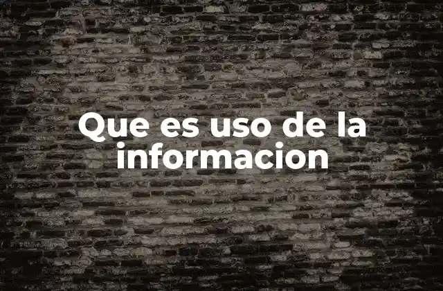 Que es Uso de la Informacion