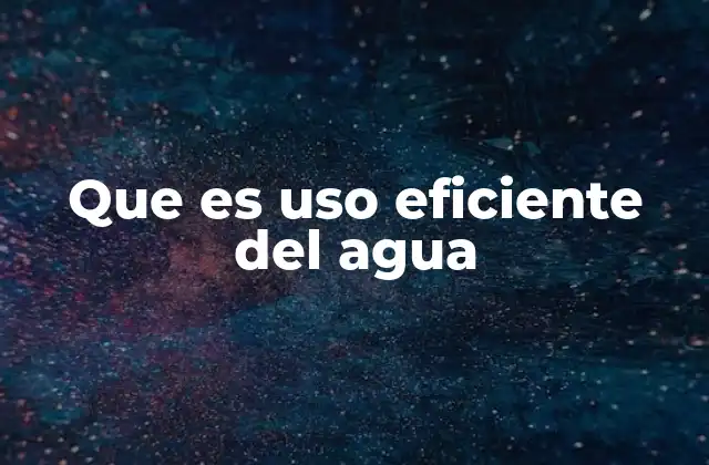 Que es Uso Eficiente Del Agua