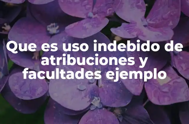 Que es Uso Indebido de Atribuciones y Facultades Ejemplo