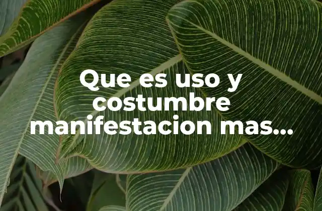 Que es Uso y Costumbre Manifestacion mas Antigua Del Derecho